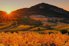 Nos appellations